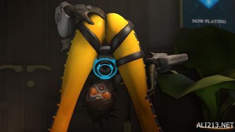 其职业生涯 其职业生涯